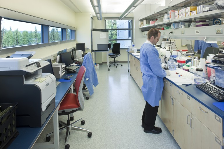 People working in laboratory