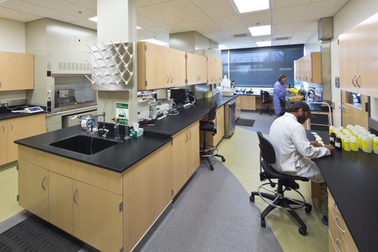 People working in laboratory