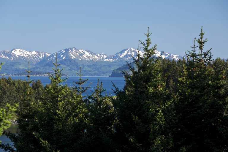 Wood and mountains along coast