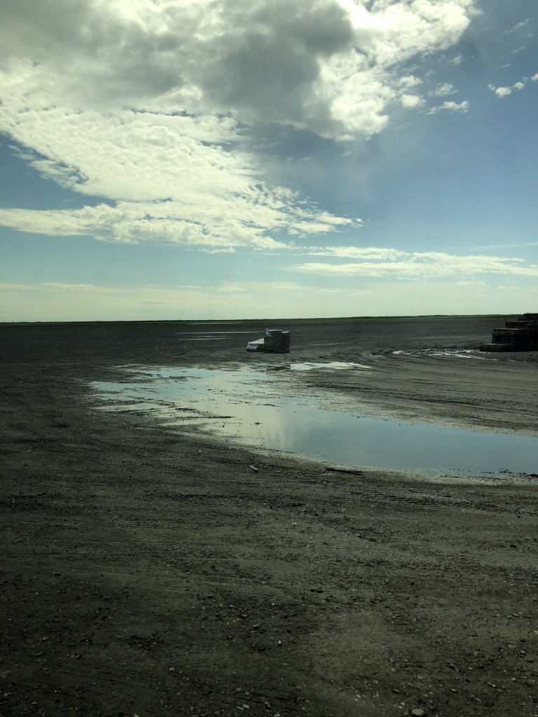 Empty flat terrain